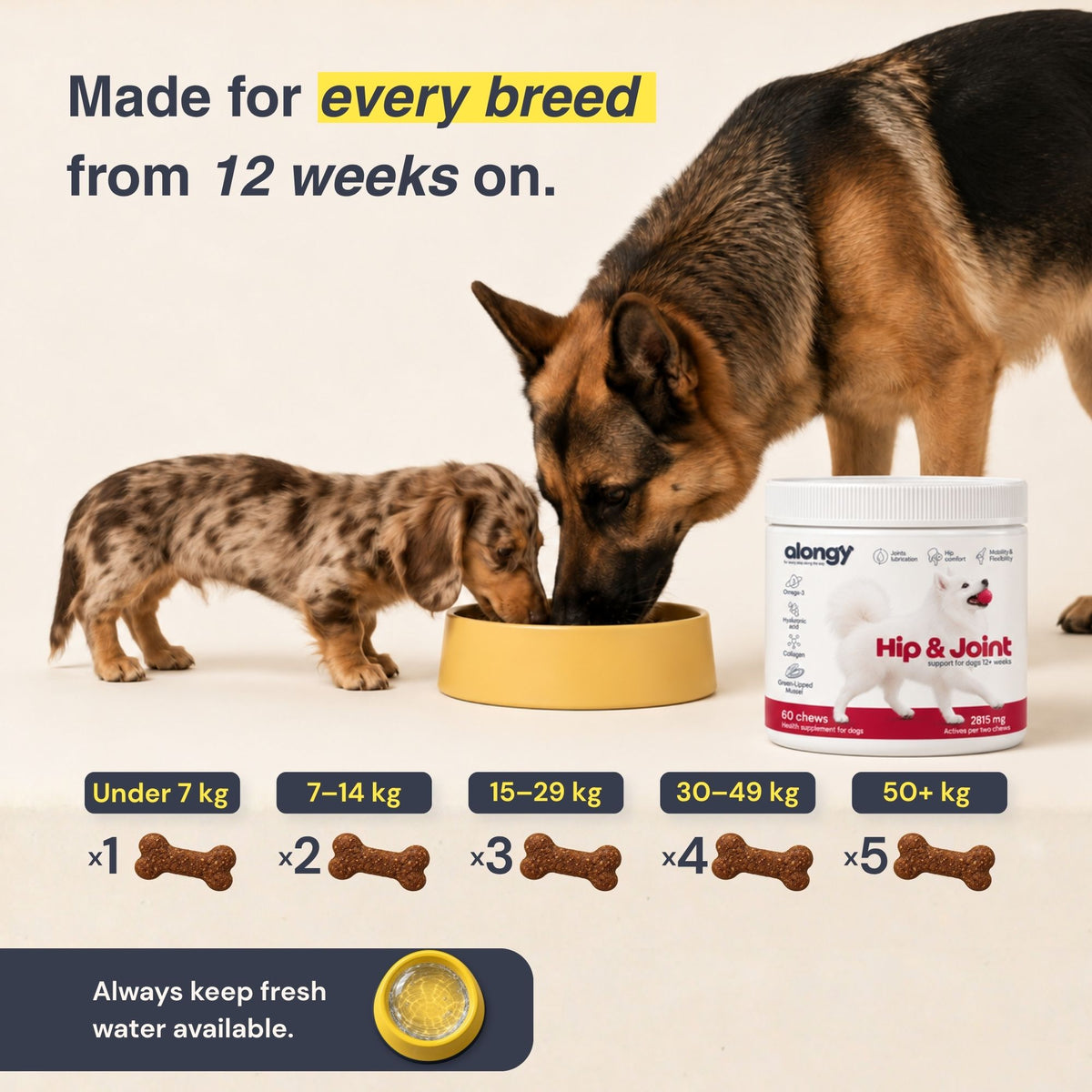 Hip & Joint - Soft Chews