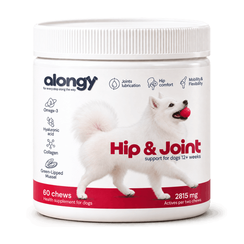 Hip & Joint - Soft Chews