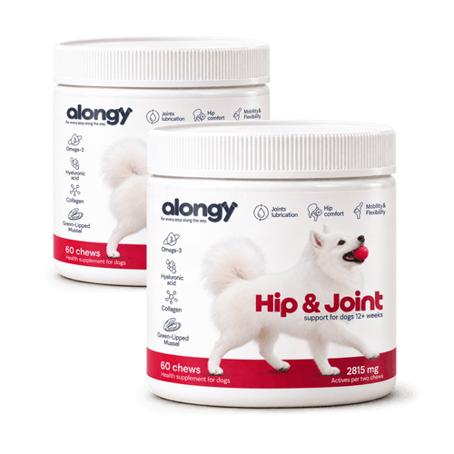 Hip & Joint - Soft Chews