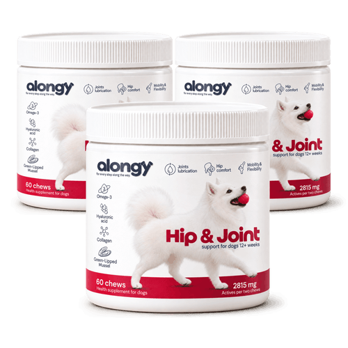 Hip & Joint - Soft Chews