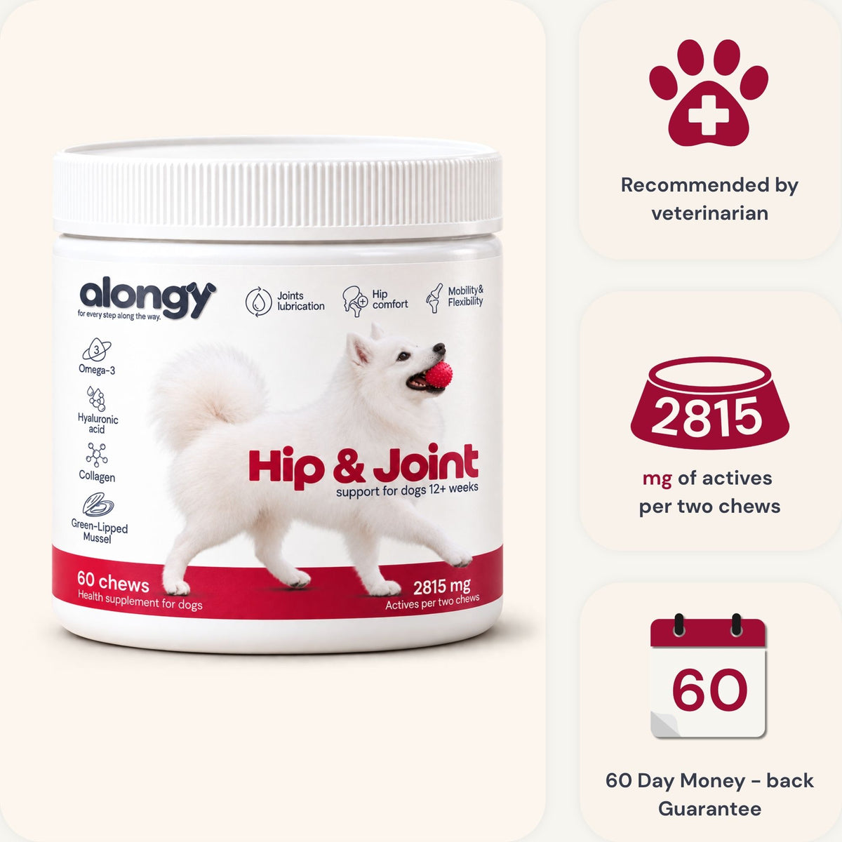 Hip & Joint - Soft Chews