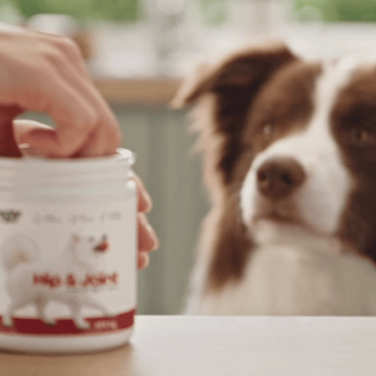 Hip & Joint - Soft Chews